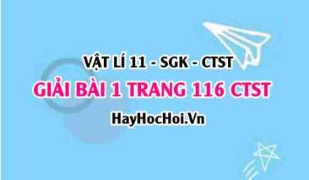 Giải bài 1 trang 116 Vật lý 11 Chân trời sáng tạo